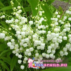 Что подарит лето